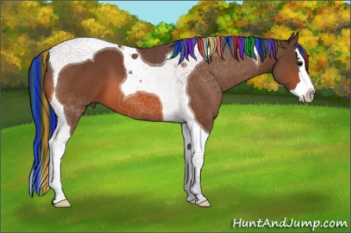 Horse Color:Painted Bay Splash Tobiano 