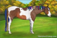 Horse Color:Painted Bay Splash Tobiano 