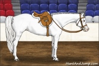Horse Color:Silver Buckskin Roan Dun Blanket 