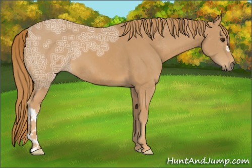Horse Color:Chestnut Ice 