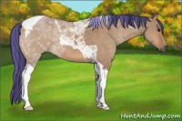 Horse Color:Painted Bay Ice Dun Tobiano 