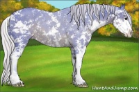 Horse Color:Watercolor Silver Black Sabino 