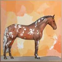 Horse Color:White Spotted Silver Brown Appaloosa 