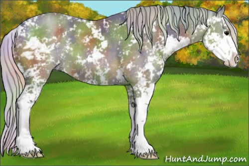 Horse Color:Nacre Watercolor Silver Black Sabino 