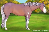 Horse Color:Watercolor Silver Brown Sabino
