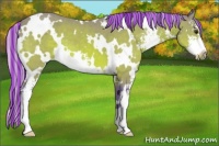 Horse Color:Painted Watercolor White Spotted Silver Bay Sabino 