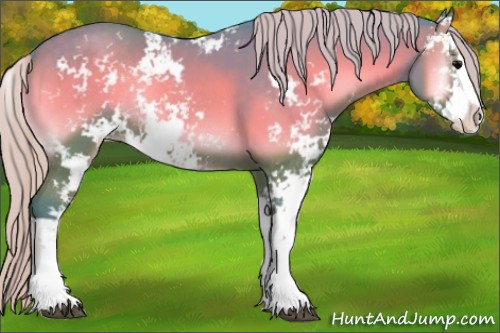 Horse Color:Watercolor Silver Blue Onyx Sabino Rabicano 