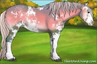 Horse Color:Watercolor Silver Blue Onyx Sabino Rabicano 
