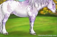 Horse Color:Watercolor White Spotted Silver Blue Onyx Pearl Sabino 
