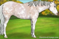 Horse Color:Watercolor Black Pearl Sabino Rabicano 