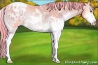 Horse Color:Watercolor Smoky Blue Onyx Pearl Sabino Varnish Rabicano