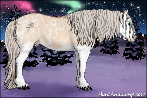 Horse Color:Silver Bay Ice Dun Sabino Splash 