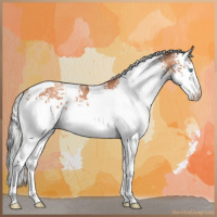 Horse Color:White Spotted Silver Sable Champagne Tobiano