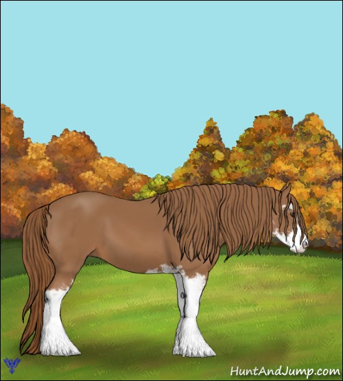 Horse Color:Chestnut Sabino