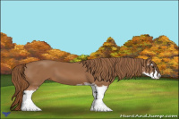 Horse Color:Chestnut Sabino