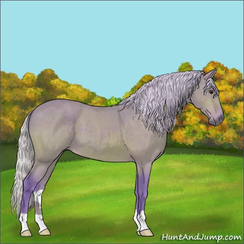 Horse Color:Watercolor Silver Buckskin 