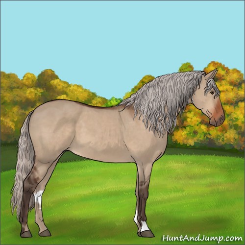 Horse Color:Silver Bay Dun 