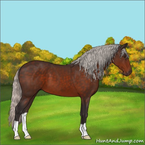 Horse Color:Silver Brown 