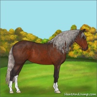 Horse Color:Silver Brown