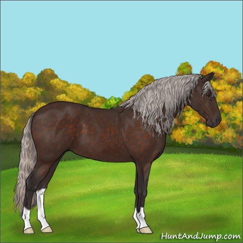 Horse Color:Silver Brown 