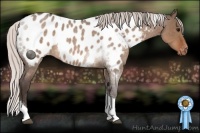 Horse Color:Silver Brown Roan Dun Tobiano Near Leopard 