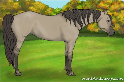 Horse Color:Smoky Grullo 