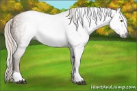 Horse Color:Gray Silver Black Pearl Tobiano 