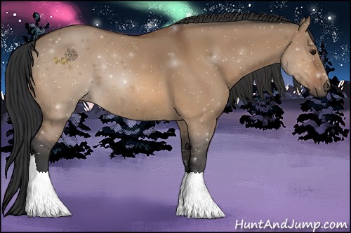 Horse Color:Bay Dun Sabino