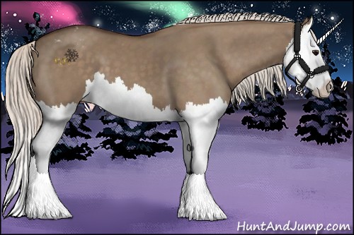Horse Color:Silver Grullo Splash Appaloosa 