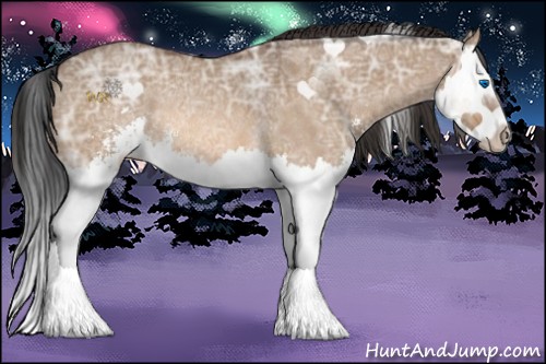 Horse Color:Bay Ice Roan Dun Sabino Splash Rabicano 