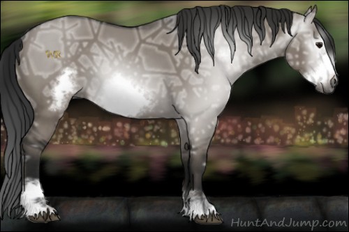 Horse Color:Gray Grullo Ice Sabino Frame 