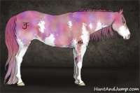 Horse Color:Nacre Gold Champagne Splash 