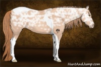 Horse Color:Gold Champagne Ice Tobiano