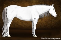 Horse Color:White Spotted Amber Champagne Ice Dun Tobiano 