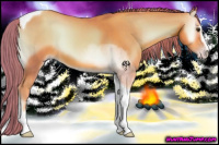 Horse Color:Watercolor Gold Champagne Onyx Sabino Tobiano 