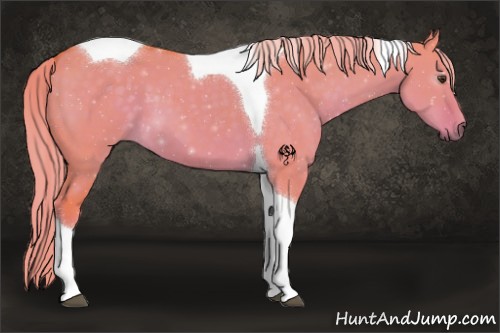 Horse Color:Watercolor Chocolate Palomino Dun Tobiano 