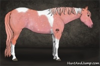 Horse Color:Watercolor Chocolate Palomino Dun Tobiano