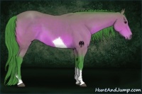 Horse Color:Watercolor Bay Tobiano 