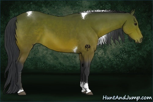 Horse Color:Bay Tobiano 