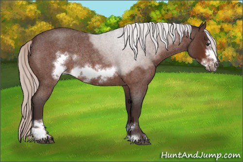 Horse Color:Silver Brown Roan Sabino Frame Rabicano