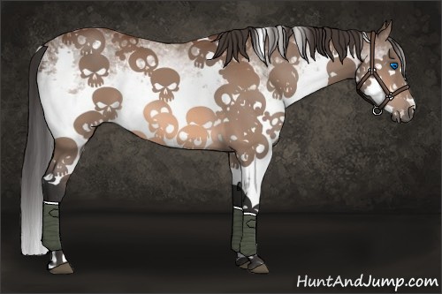 Horse Color:White Spotted Bay Splash 