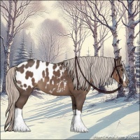 Horse Color:Silver Black Blanket 
