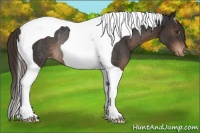 Horse Color:Liver Chestnut Tobiano Varnish Rabicano 