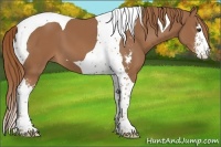 Horse Color:Chestnut Sabino Tobiano 
