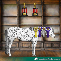 Horse Color:Black Tobiano Leopard 