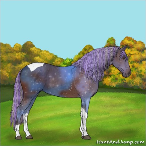 Horse Color:Painted Silver Brown Tobiano 