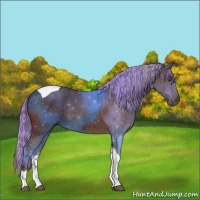 Horse Color:Painted Silver Brown Tobiano 