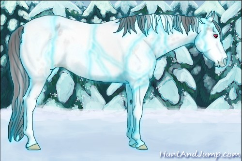 Horse Color:Thunderstruck White Spotted Chocolate Brown Chinchilla Tobiano Appaloosa Rabicano 