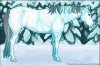 Horse Color:Thunderstruck White Spotted Chocolate Brown Chinchilla Tobiano Appaloosa Rabicano 