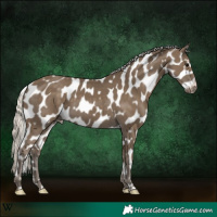 Horse Color:Silver Smoky Black Leopard 